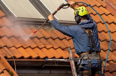 Démoussage et hydrofuge de toiture à Pervenchères
